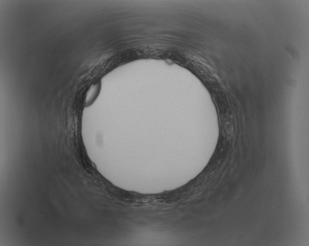 X0000116291061200912291408