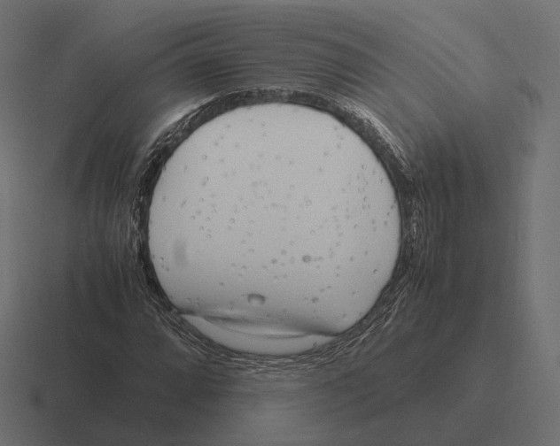 X0000116291064200912291408