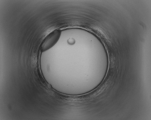 X0000116291065200912291408