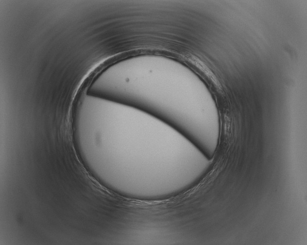 X0000116291068200912291408