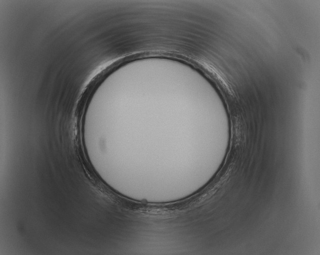 X0000116291070200912291408