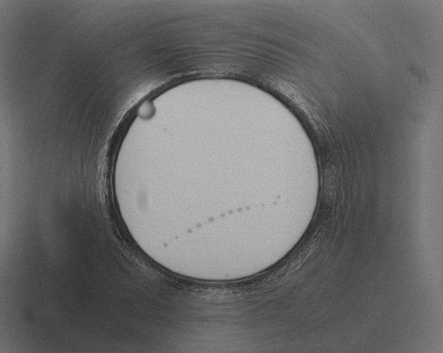 X0000116291071200912291408