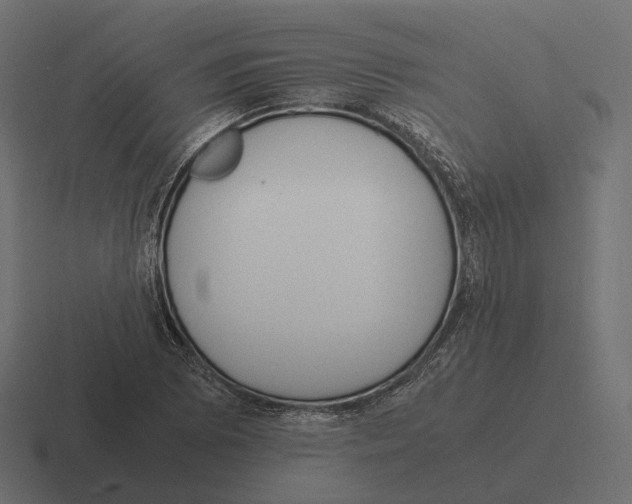 X0000116291073200912291408