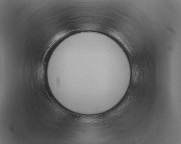 X0000116291074200912291408