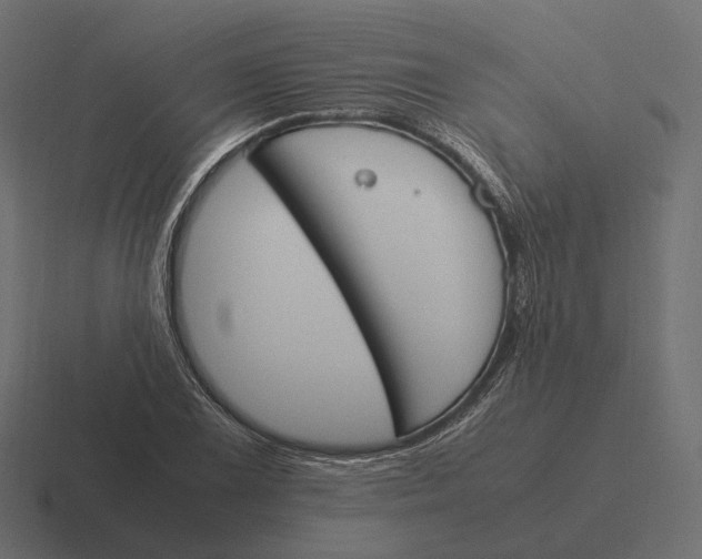 X0000116291075200912291408