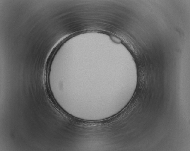 X0000116291076200912291408