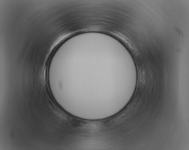 X0000116291078200912291408