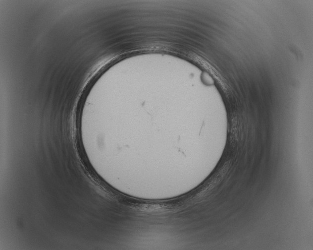 X0000116291082200912291408