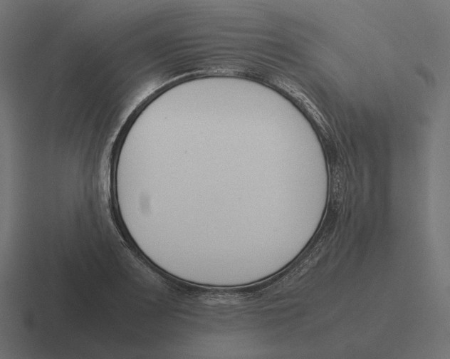 X0000116291083200912291408