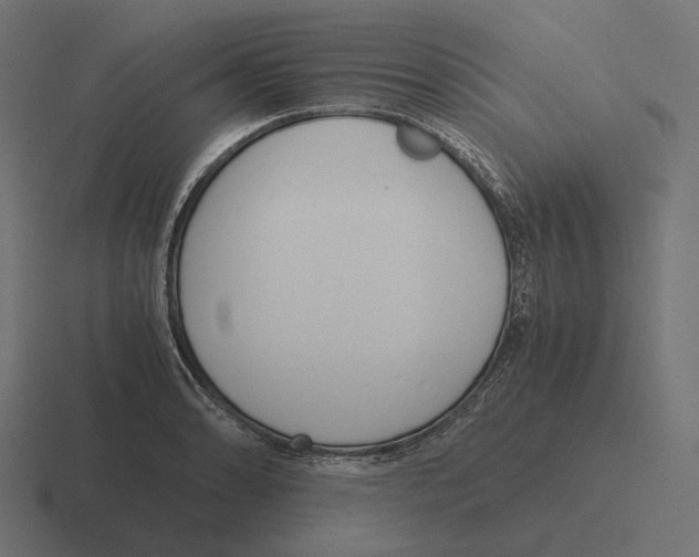 X0000116291086200912291407