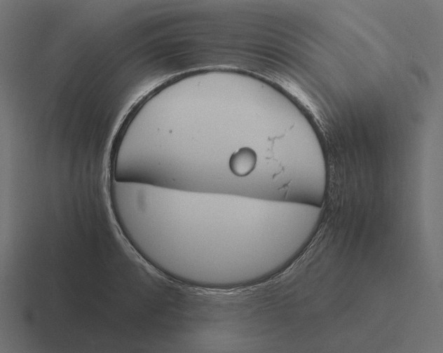 X0000116291088200912291407