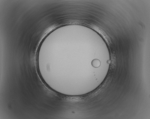 X0000116291090200912291407