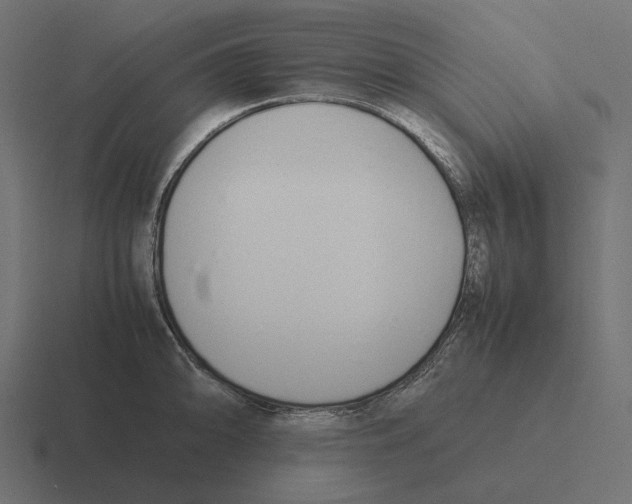 X0000116291094200912291407