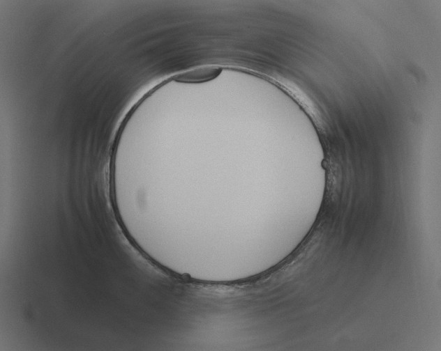 X0000116291100200912291407