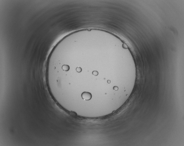 X0000116291102200912291407