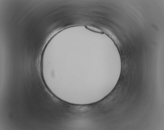 X0000116291103200912291407