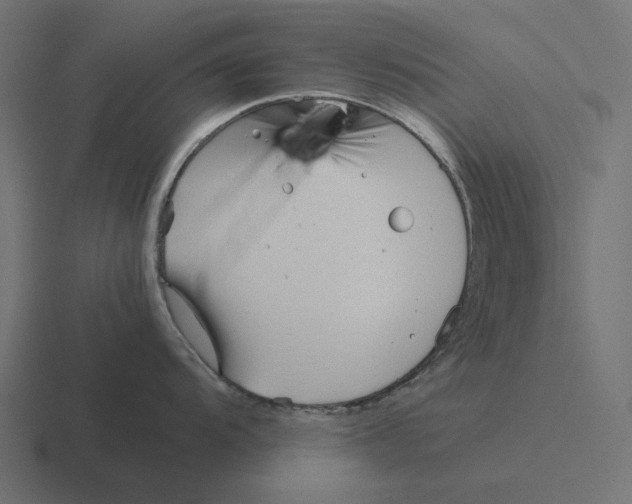 X0000116291104200912291407