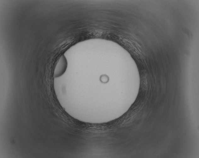 X0000116291105200912291407