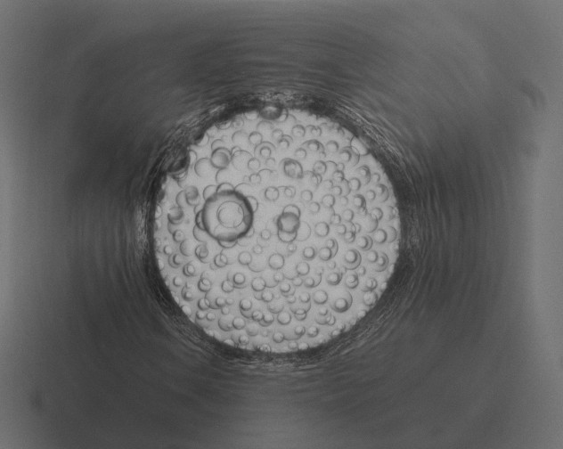 X0000116291106200912291407