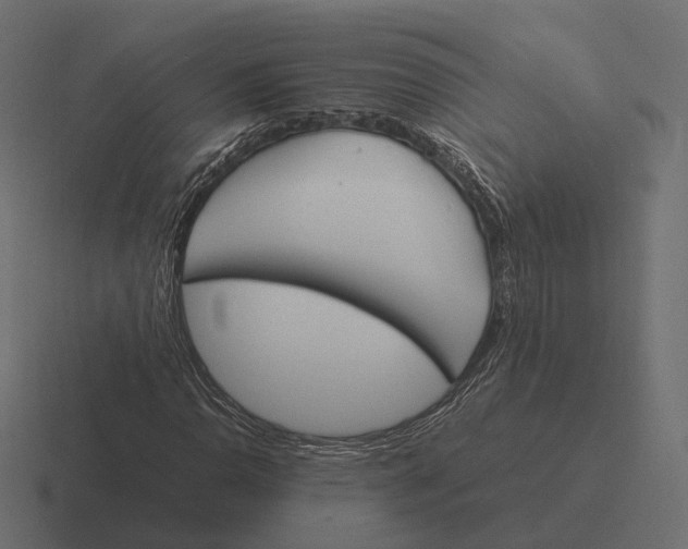 X0000116291110200912291407