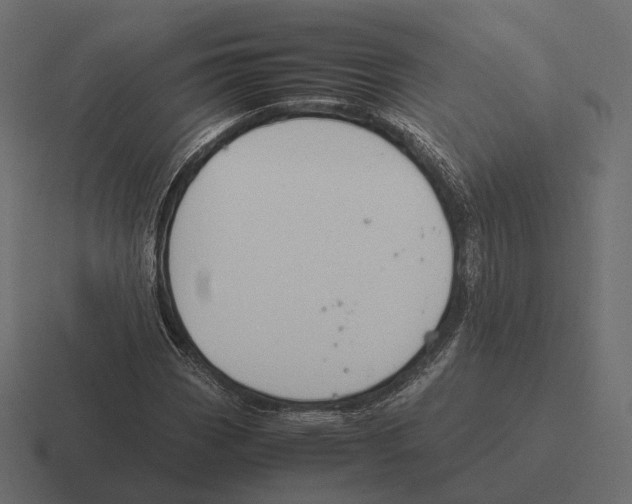 X0000116291113200912291407