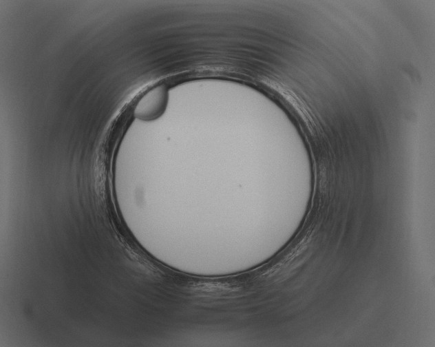 X0000116291115200912291407