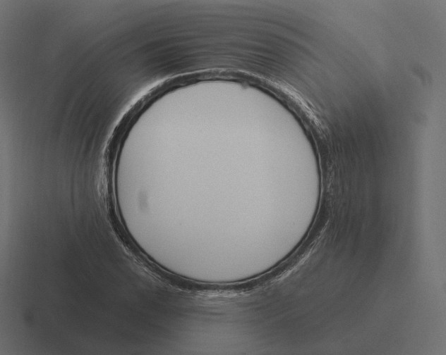 X0000116291118200912291407