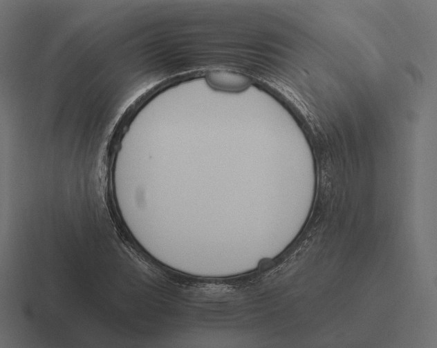 X0000116291119200912291407