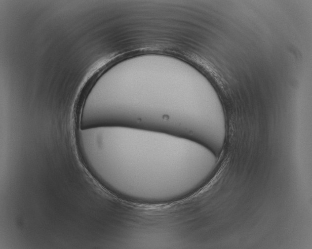 X0000116291122200912291407