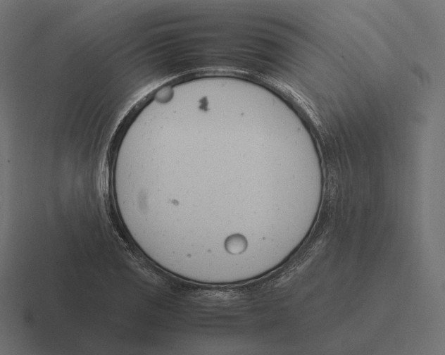 X0000116291125200912291407