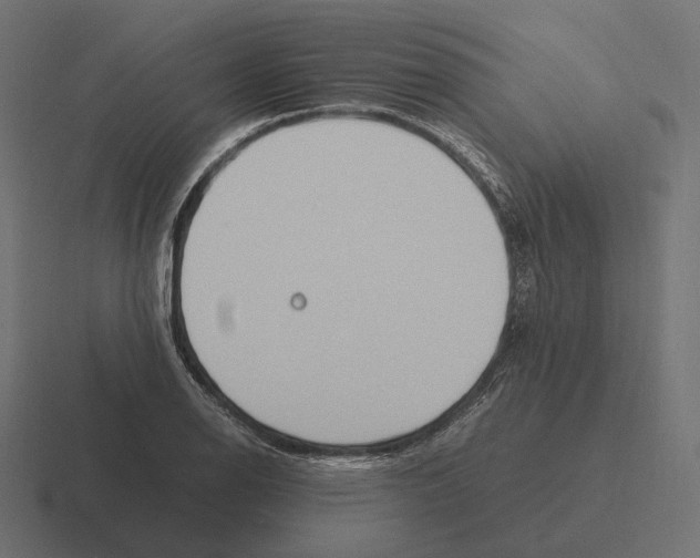 X0000116291126200912291407