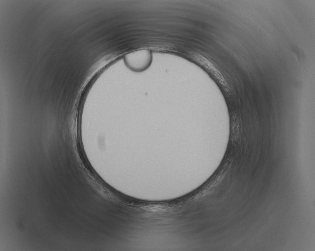 X0000116291130200912291407