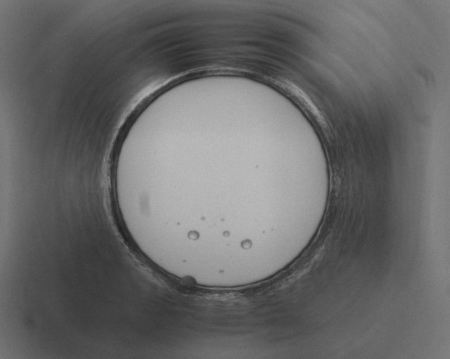 X0000116291133200912291407