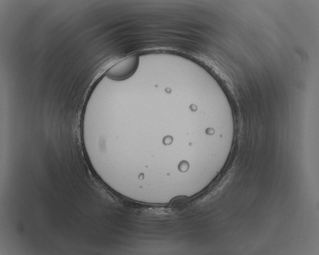 X0000116291137200912291407