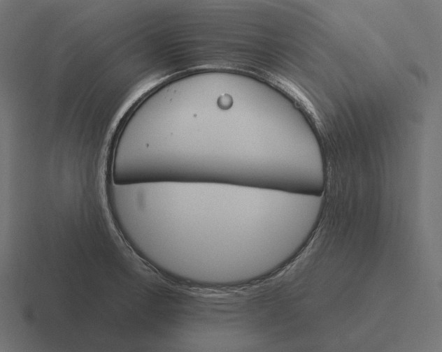 X0000116291138200912291407