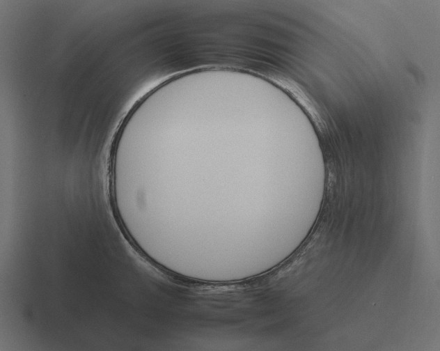 X0000116291143200912291407