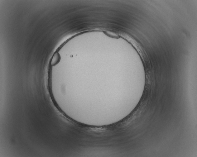 X0000116291147200912291407