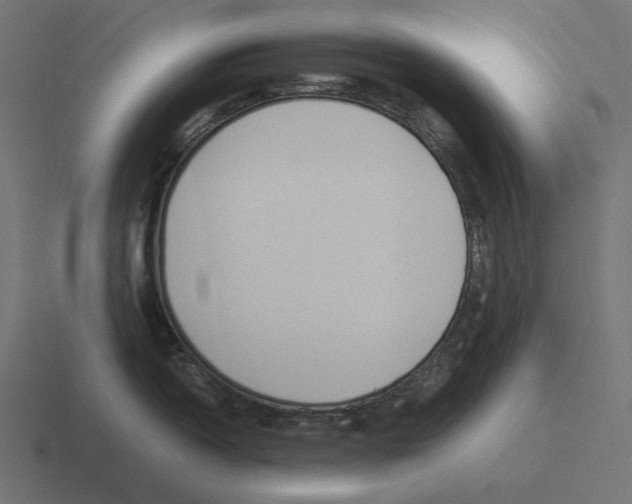 X0000116291150200912291407