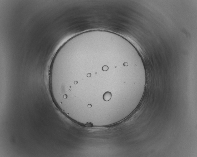 X0000116291151200912291407