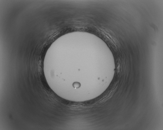 X0000116291156200912291407