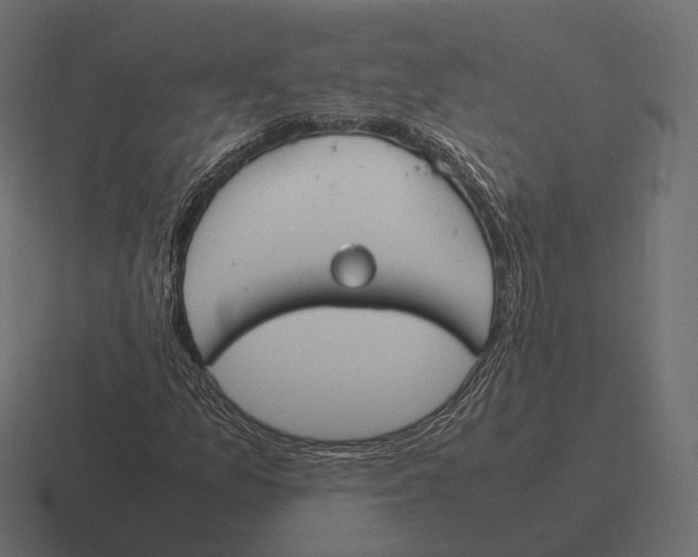 X0000116291157200912291407