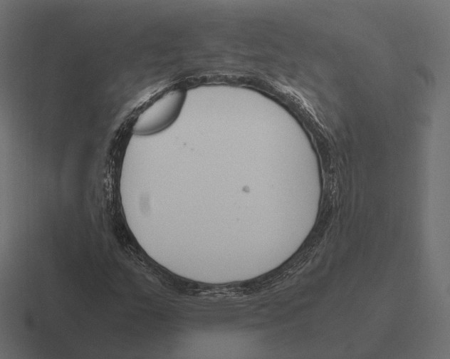 X0000116291159200912291407