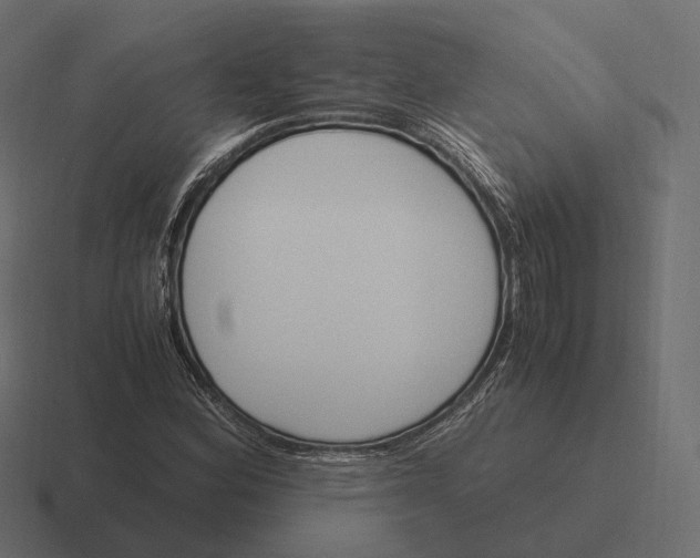 X0000116291164200912291407