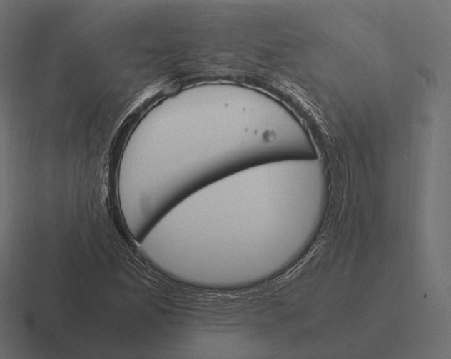 X0000116291165200912291406