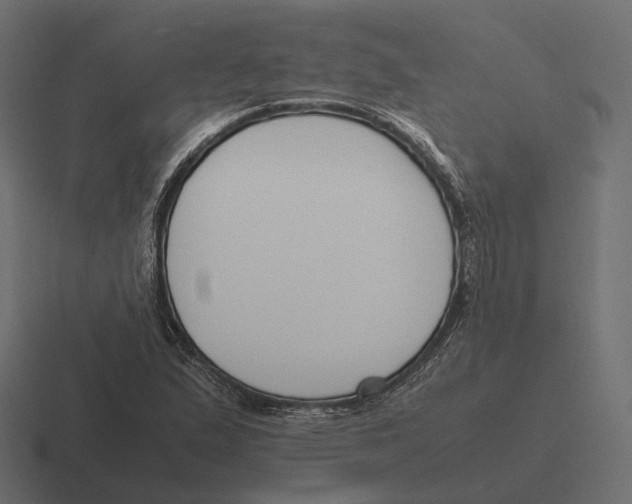 X0000116291167200912291406