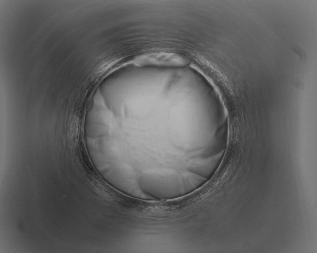 X0000116291169200912291406