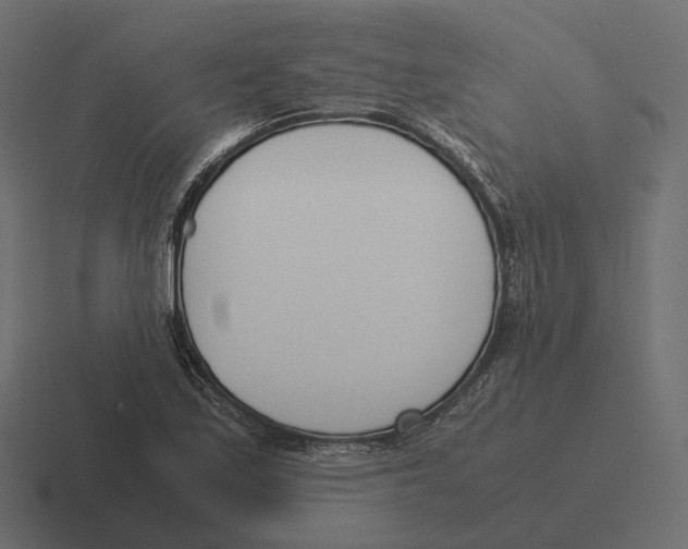 X0000116291171200912291406