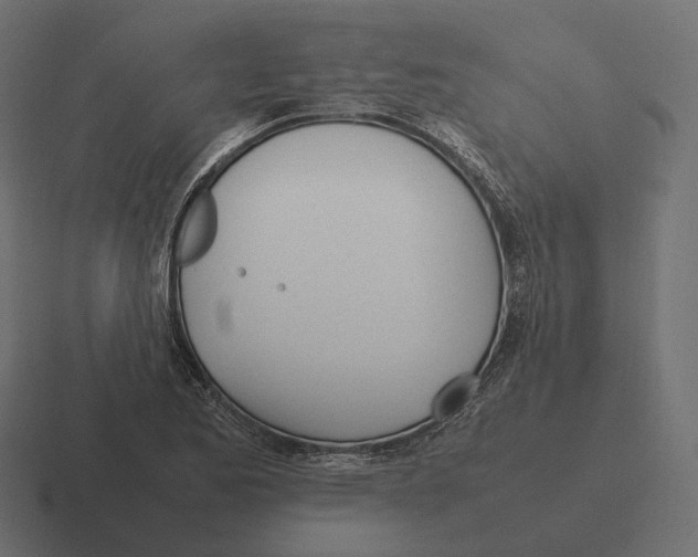 X0000116291173200912291406