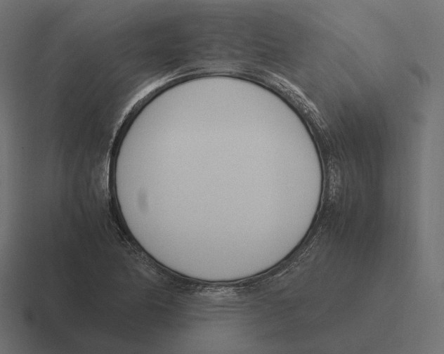 X0000116291174200912291406