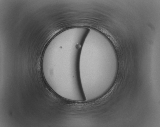 X0000116291177200912291406